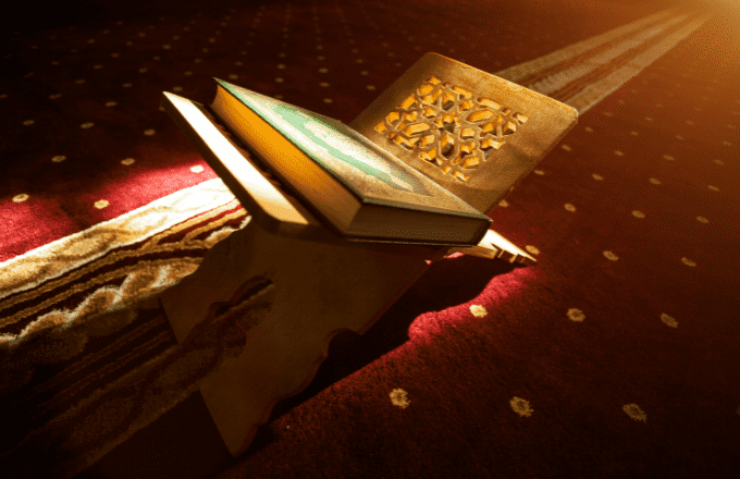Study Quran